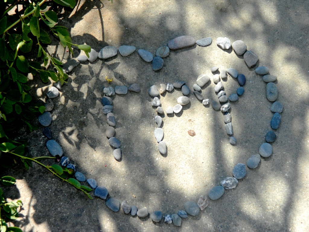 DSCN7347.JPG