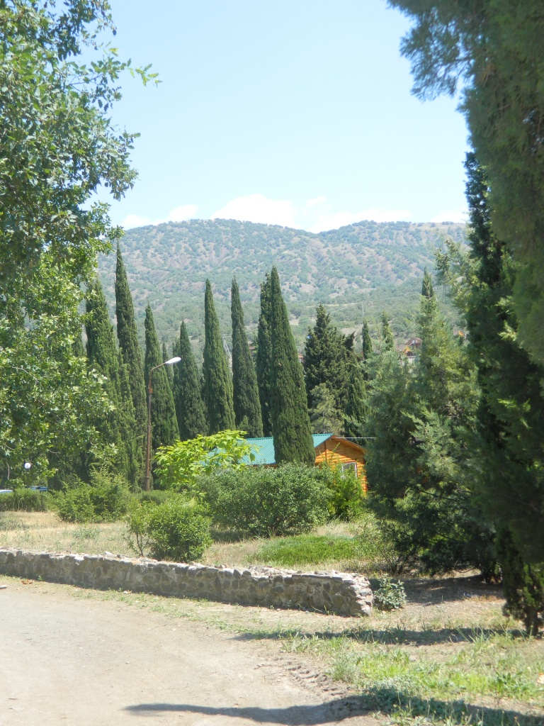 DSCN7241.JPG